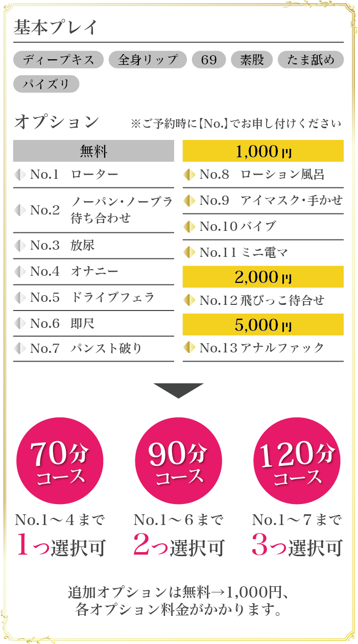 基本プレイ／オプション